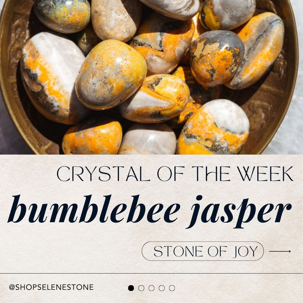 Jsber Bumblebee jasper zodiac - Zodiacstock.com