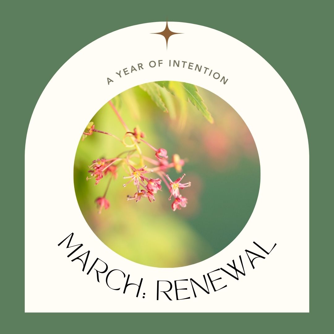 A photo of spring blossoms with text: "A Year of Intention. March: Renewal"