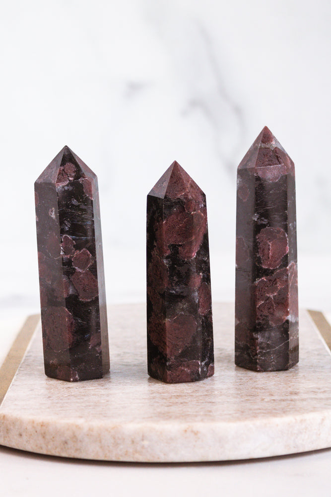 Arfvedsonite with Garnet Point