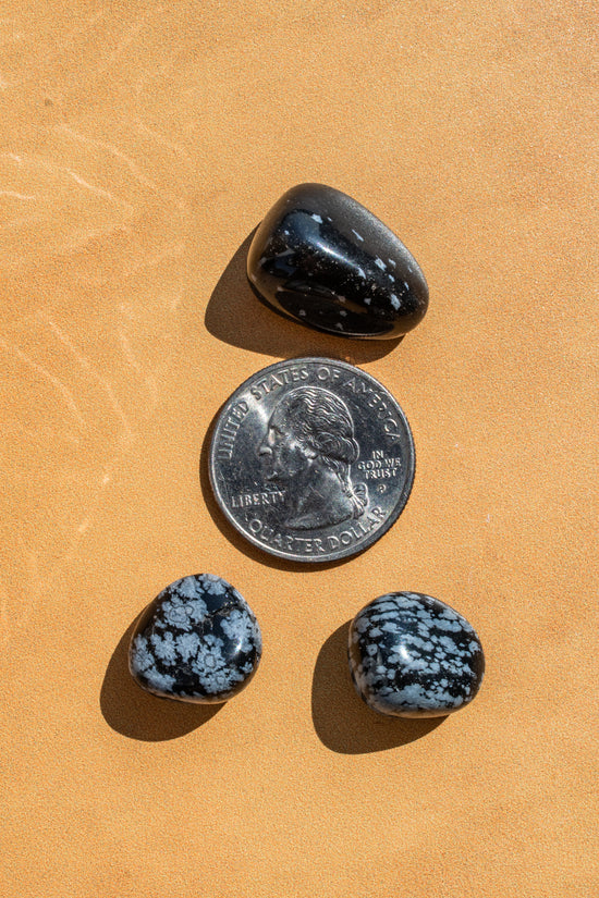 Snowflake Obsidian Tumbled Stone