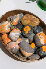 Bumblebee Jasper Tumbled Stone