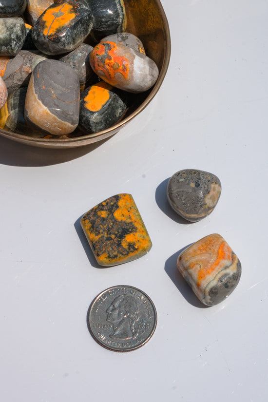 Load image into Gallery viewer, Bumblebee Jasper Tumbled Stone
