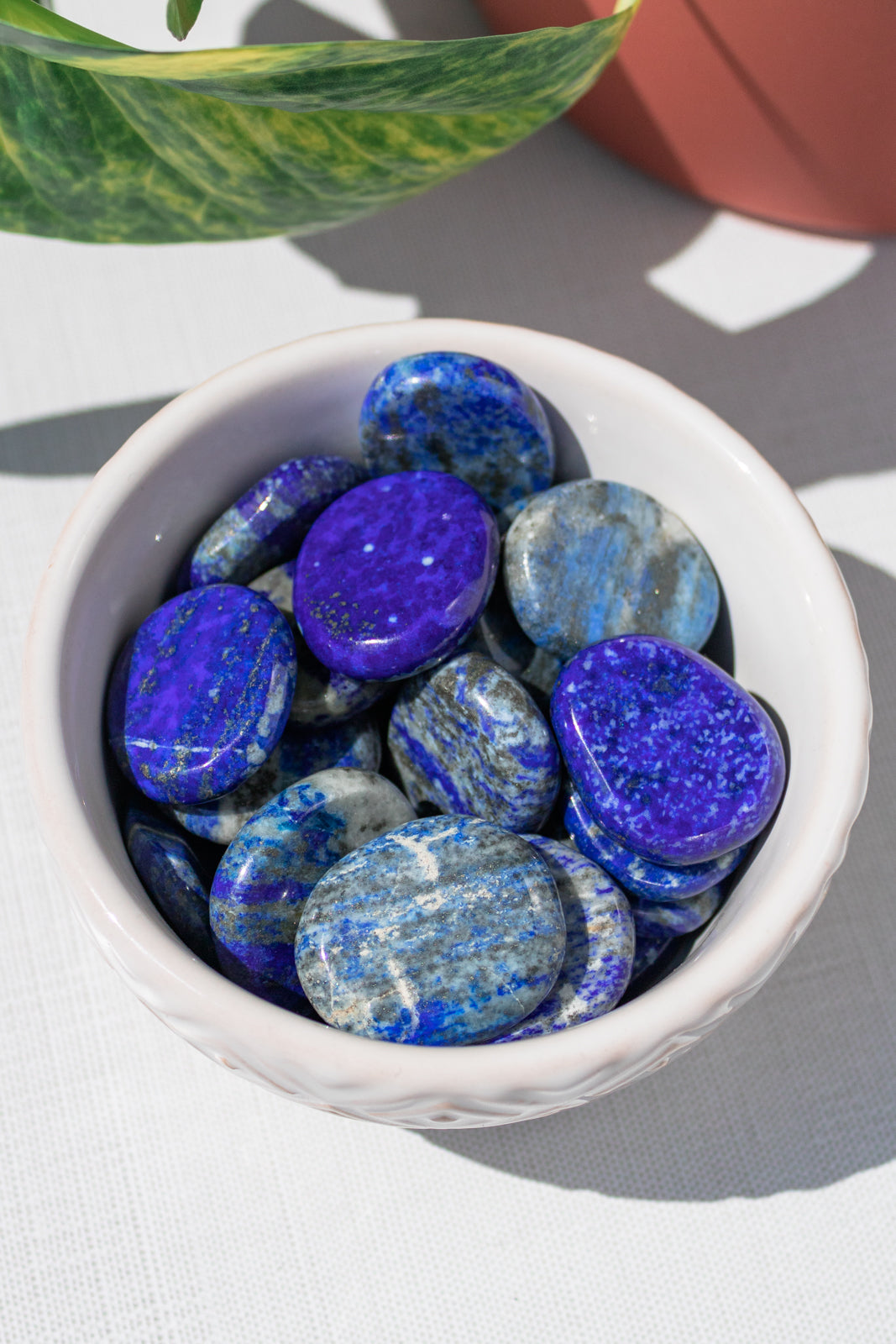 Lapis Lazuli Tumbled Pocket Stone - Minera Emporium Crystal & Mineral Shop