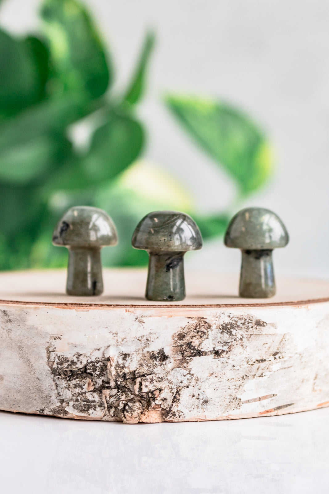 green labradorite mushroom crystals