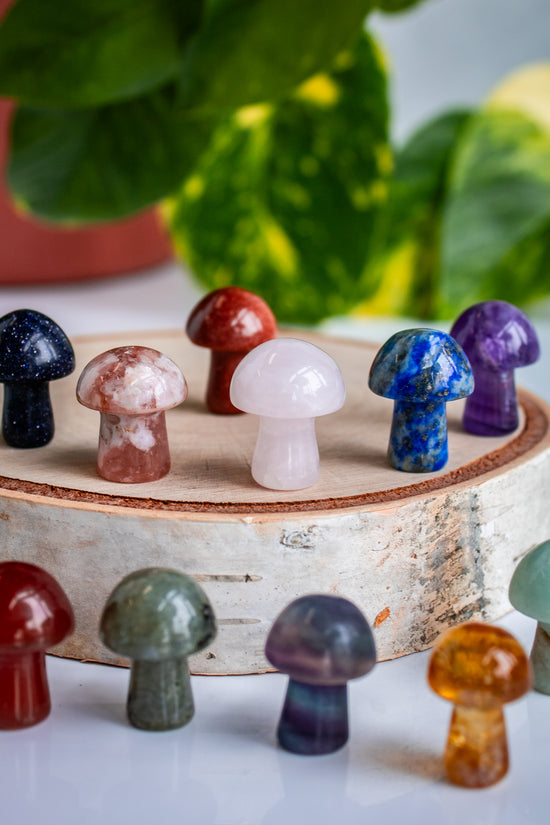 mini mushroom crystals in an assortment of stones: rose quartz mushroom fluorite, citrine, caribbean calcite, labradorite, carnelian, opalite, flower agate, lapis lazuli, goldstone, dalmatian jasper mushroom