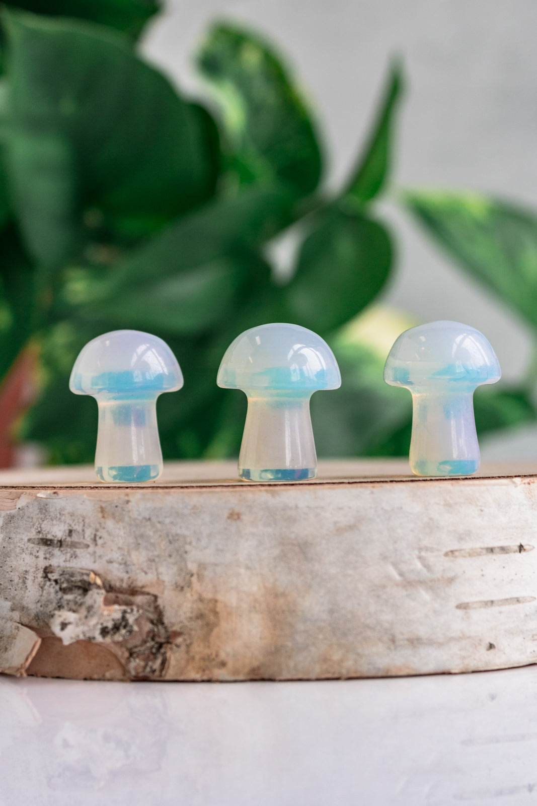 opalite mushroom crystals