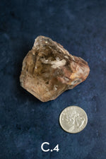 Amphibole Quartz