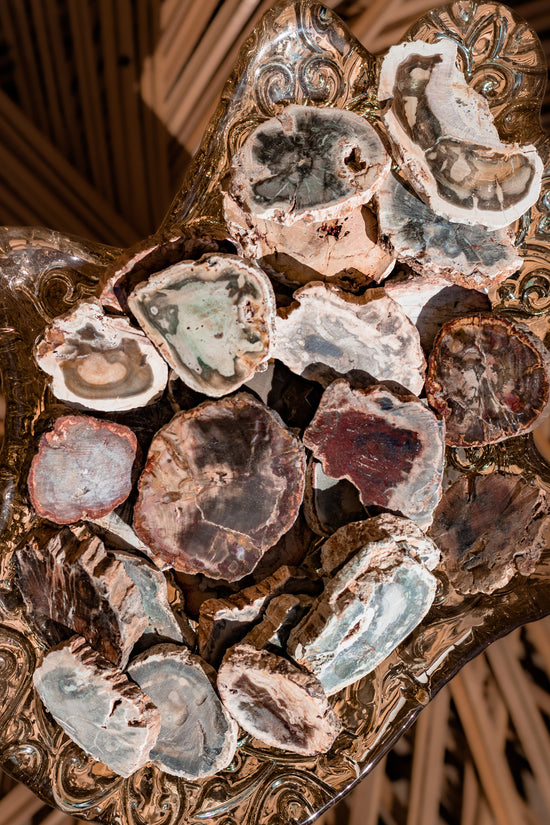 Load image into Gallery viewer, Petrified Wood Small Slice
