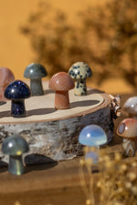 Crystal Mini Mushroom