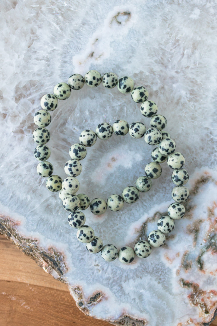 Load image into Gallery viewer, Dalmatian Jasper Beaded Bracelet - 8mm
