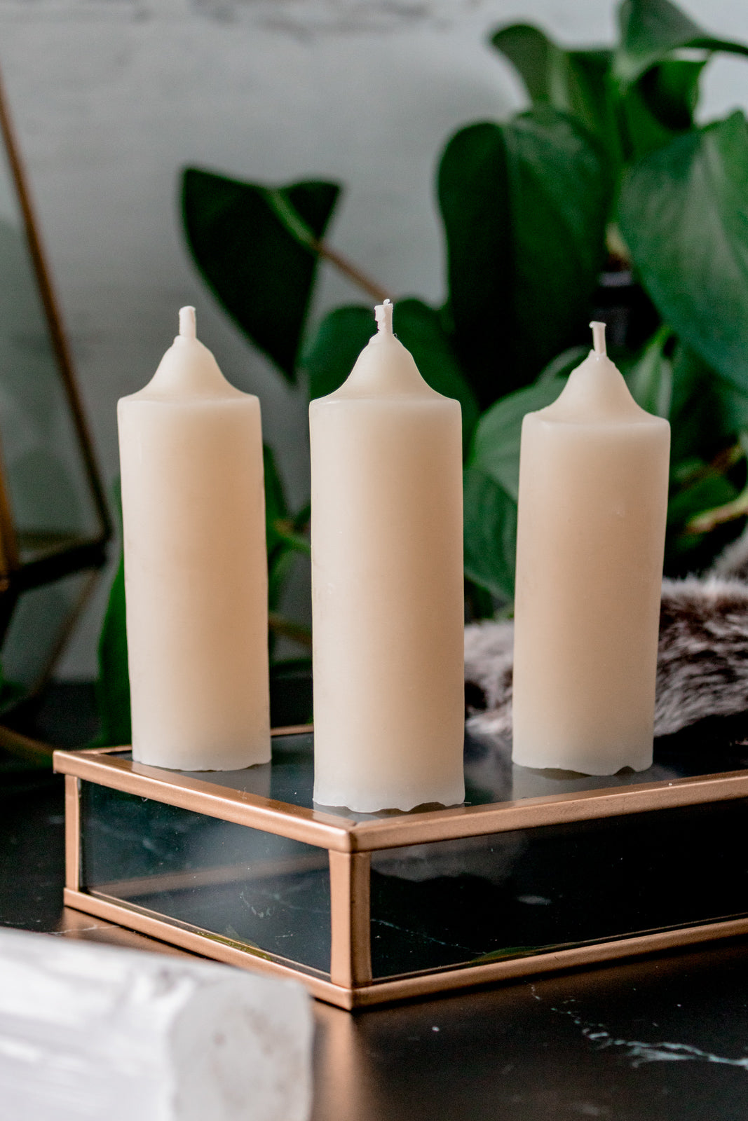 Taper Candle Shorties