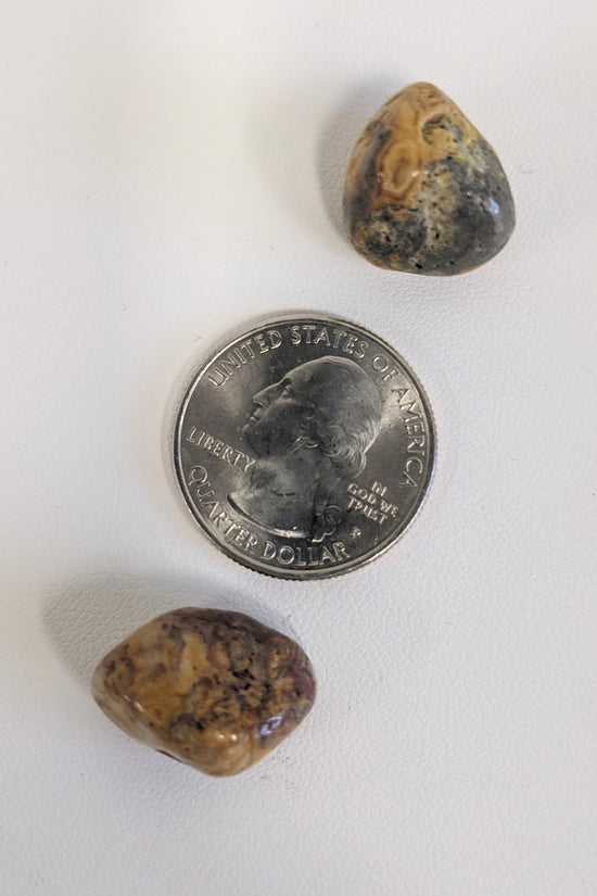 Crazy Lace Agate Tumbled Stone